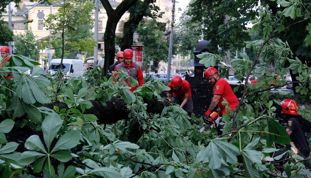 Через буревій на Львівщині повністю знеструмлені майже сотня сіл