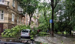 Головні новини Львова за 30 червня