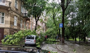 Головні новини Львова за 30 червня