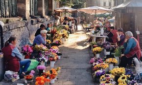 Головні новини Львова за 8 липня