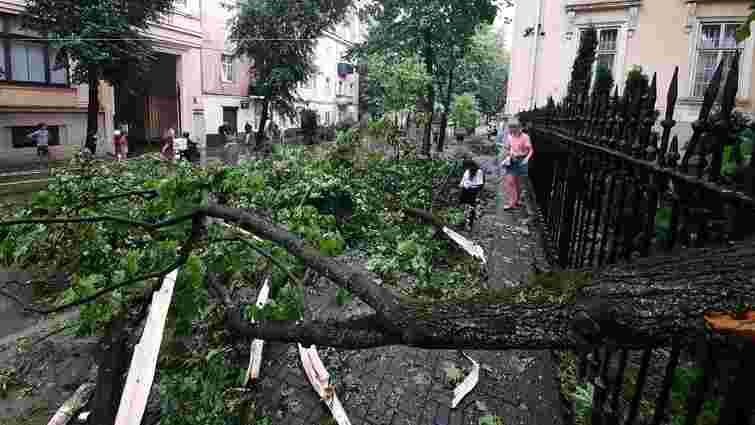Чергова сильна гроза зі шквальним вітром наробила шкоди у Львові