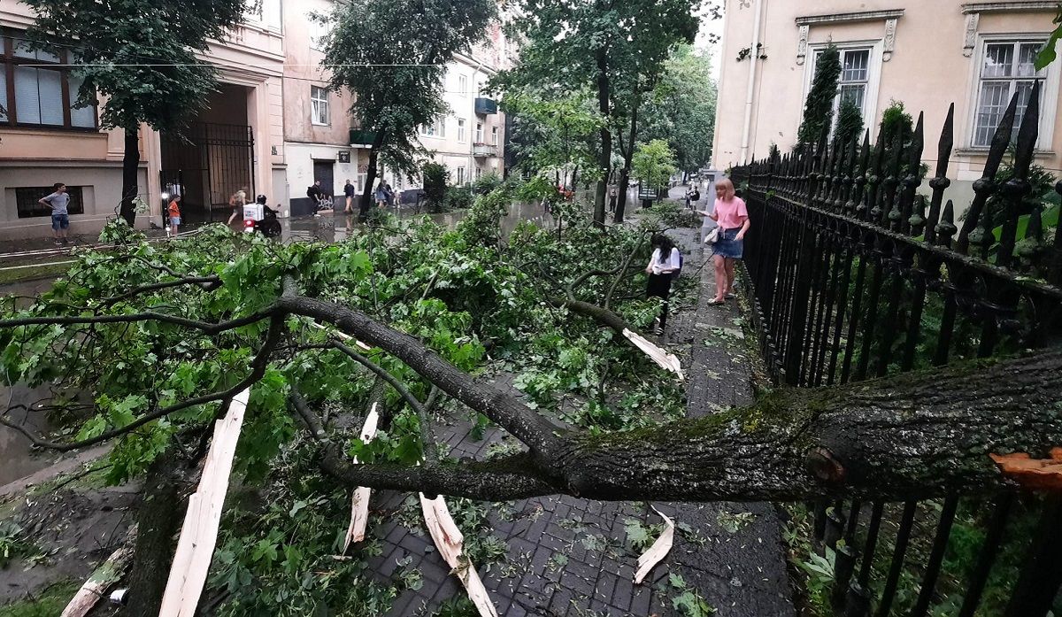Чергова сильна гроза зі шквальним вітром наробила шкоди у Львові