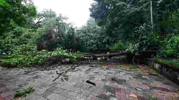 Негода зламала 118 дерев та пошкодила 24 дахи у Львові