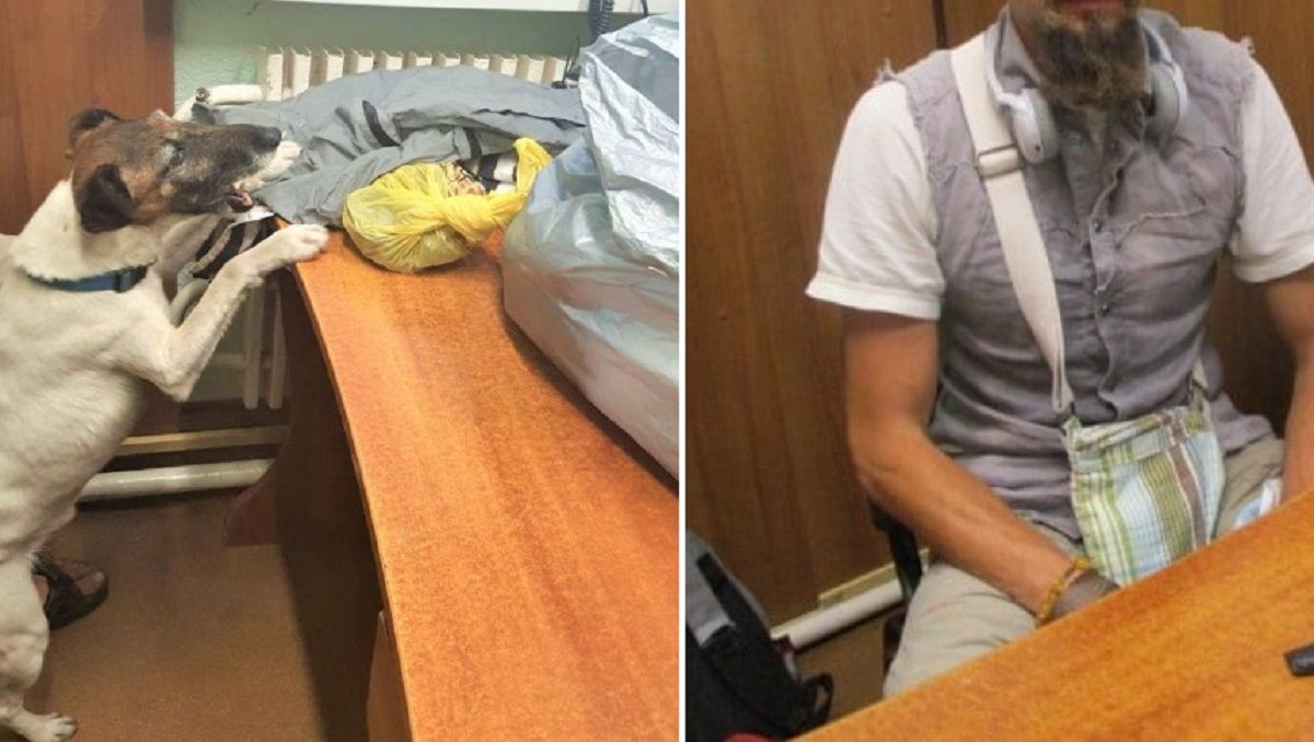 Пес харківських митників знайшов марихуану у чоловічій бороді