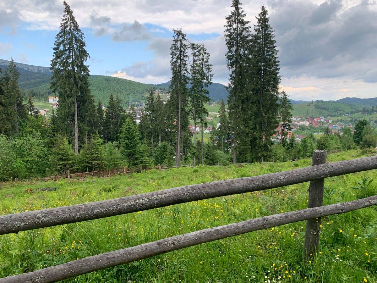Одного разу в Буковелі