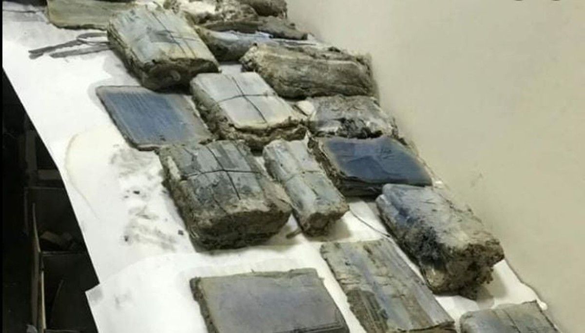 У лісі на Тернопільщині випадково знайшли бідон з архівом УПА