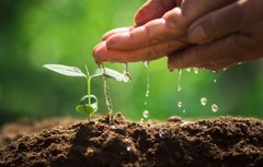 Нічого не пропаде дарма