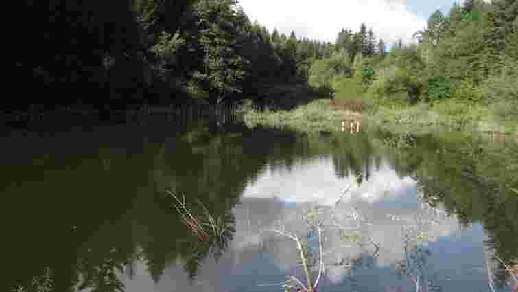 44-річний чоловік потонув в озері на Самбірщині