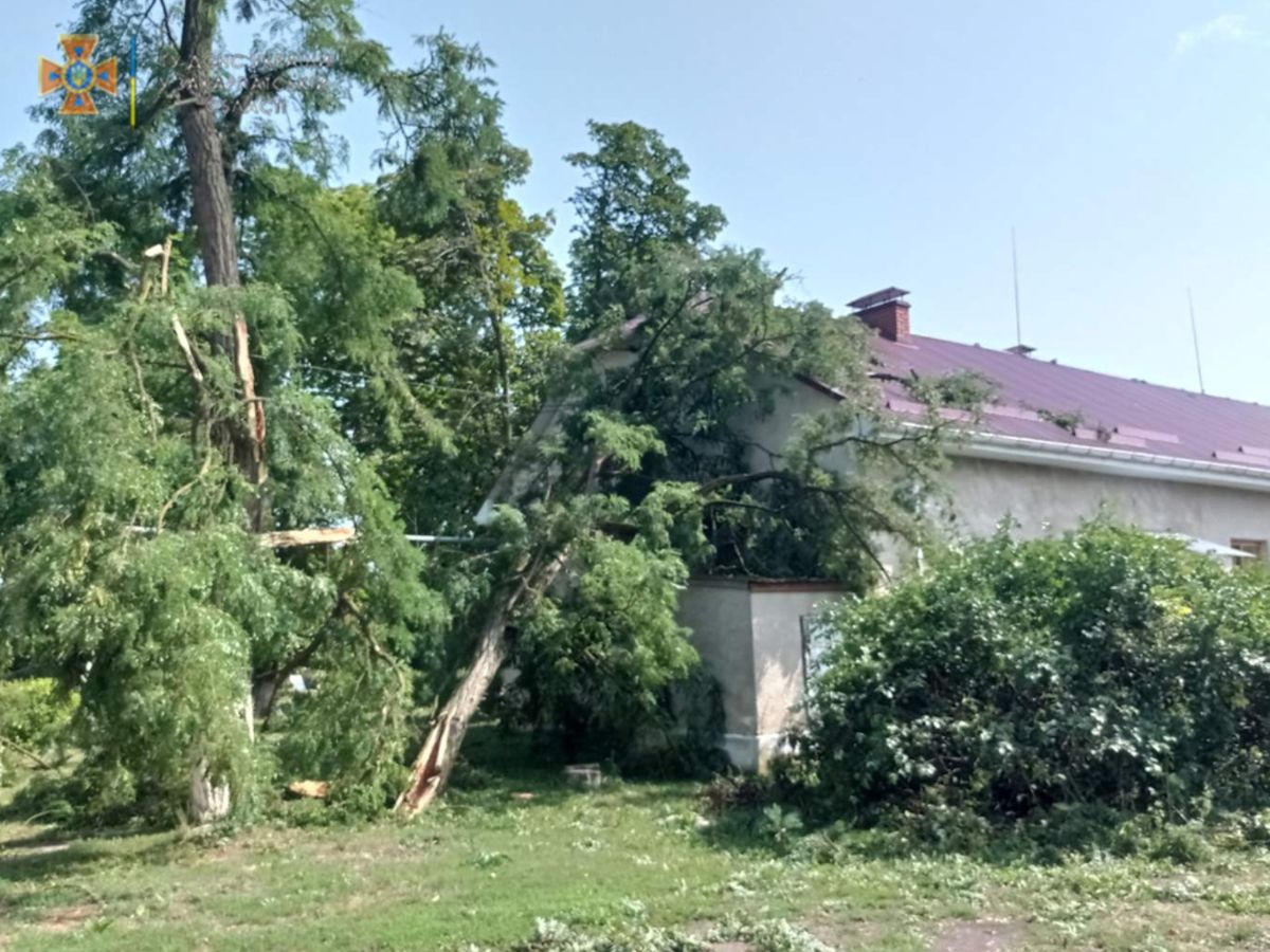 На Закарпатті через буревій більше десяти сіл залишились без електрики 