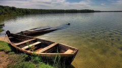 Пальма де Мельники