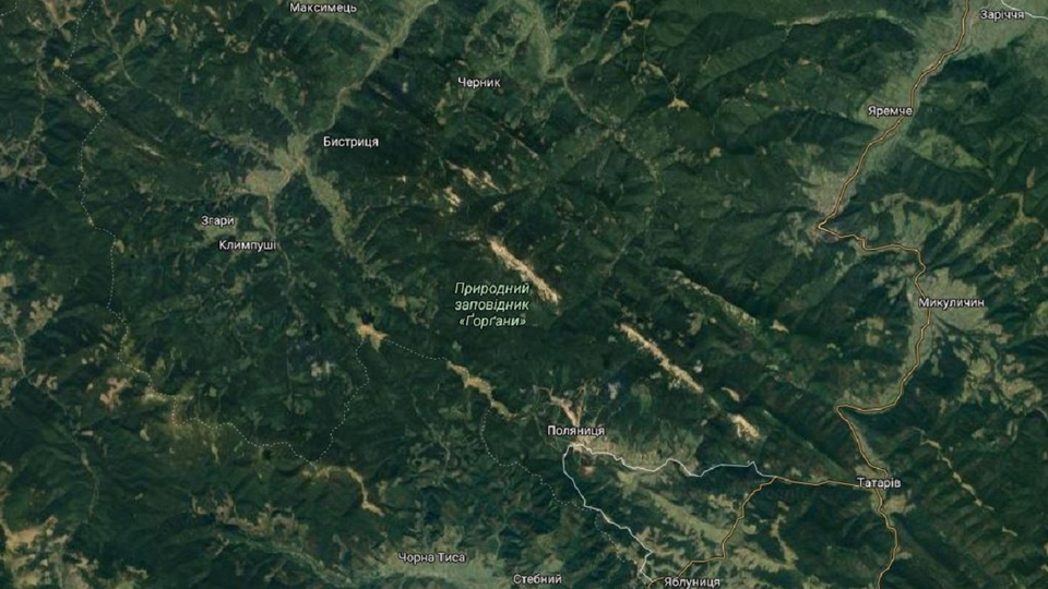 Суд арештував 150 га у Карпатах, незаконно виділених атовцям Суд арештував 150 га у Карпатах, незаконно виділених атовцям