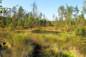 Штрафи за засмічення заказника у Білогорщі планують збільшити у сто разів