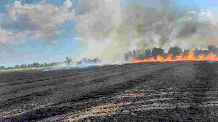 На пшеничному полі поблизу Ужгорода виникла масштабна пожежа