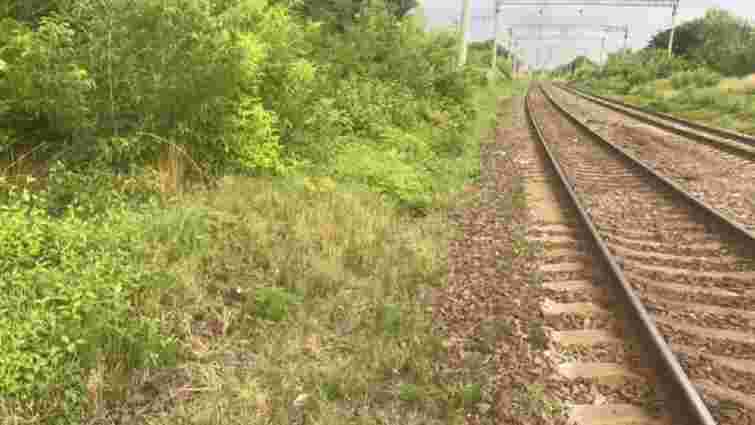 З потяга «Львів-Маріуполь» під час руху випав 23-річний пасажир