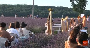 Квіткові тури набирають все більшої популярності серед мандрівників