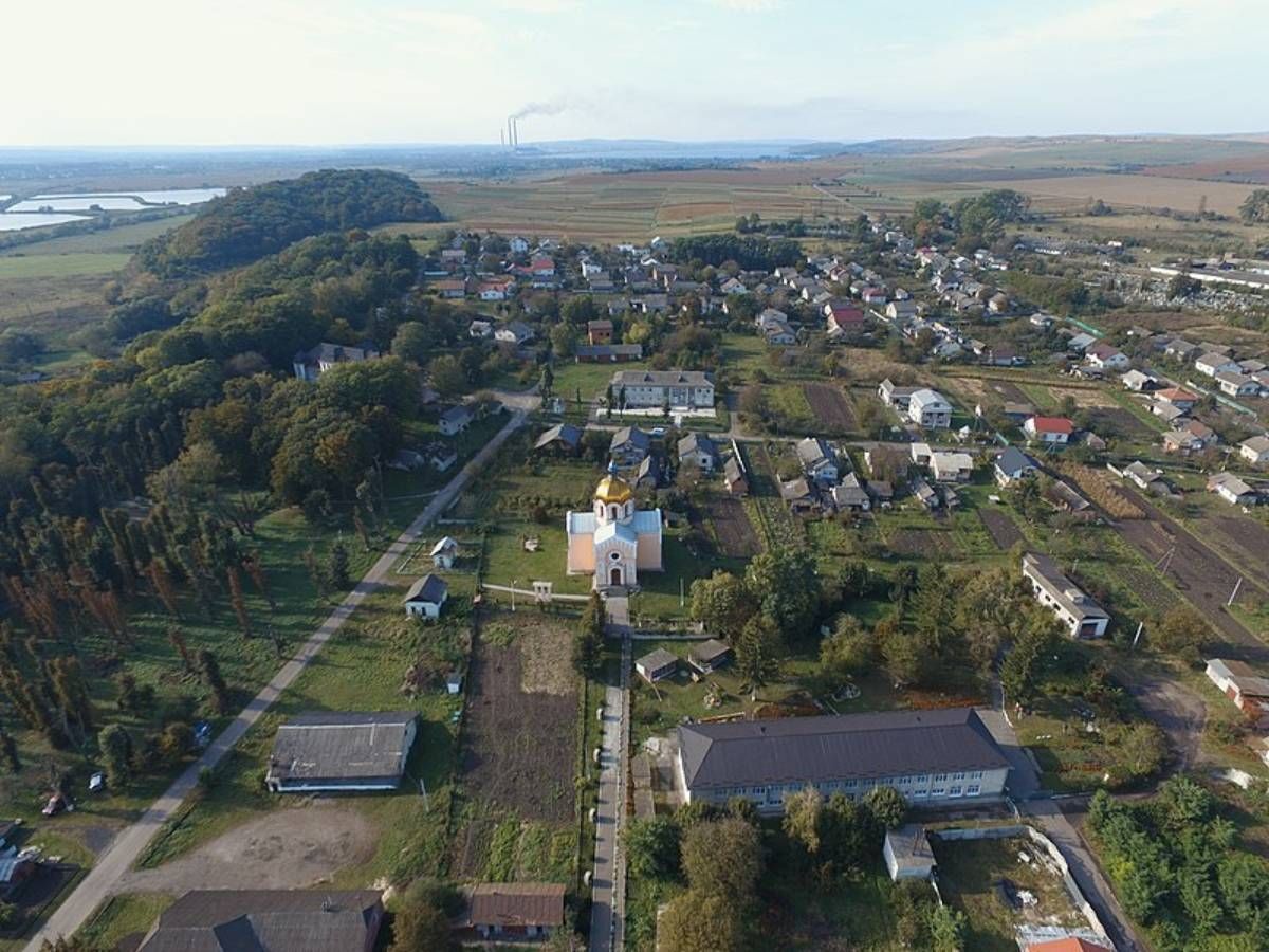 У селищі біля Галича оголосили карантин через скажену лисицю