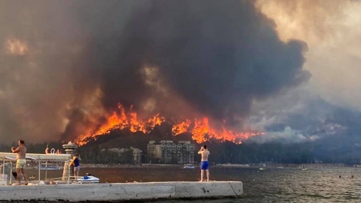 У Туреччині заарештували підозрюваного в підпалюванні лісів