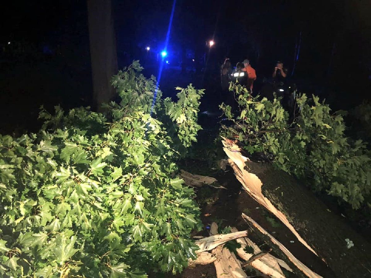 Двоє людей загинули під час буревію у Стрийському парку