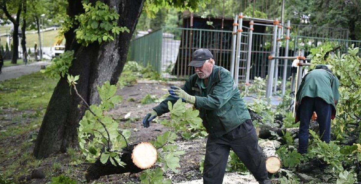 Через наслідки буревію львів’ян закликають не відвідувати Стрийський парк