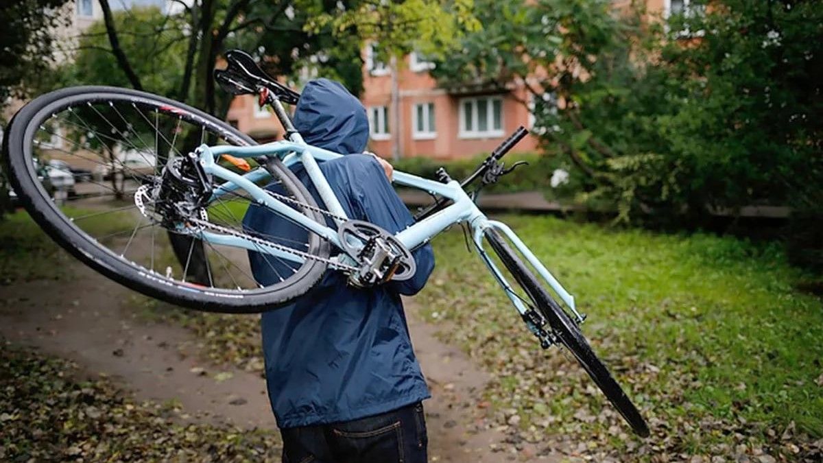 Німецькі ЗМІ розповіли про схему продажу в Україні крадених у ЄС велосипедів