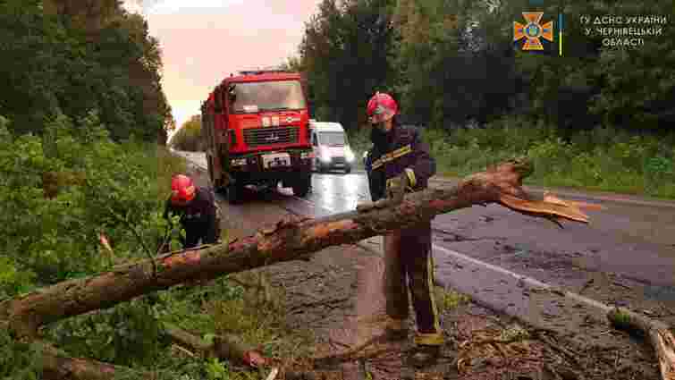 Негода затопила села і знищила врожаї в Чернівецькій області

