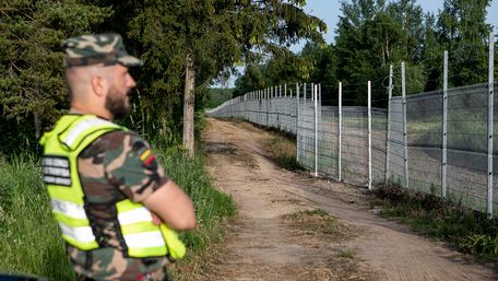 Влада Литви пообіцяла по 300 євро нелегальним мігрантам за згоду виїхати з країни