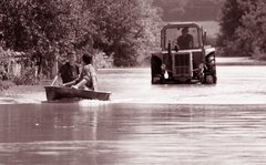 Про екологію та еволюцію