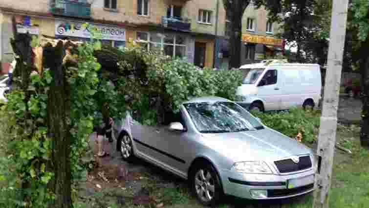 Львів’янин відсудив у міськради 52,3 тис. грн за розбите деревом авто