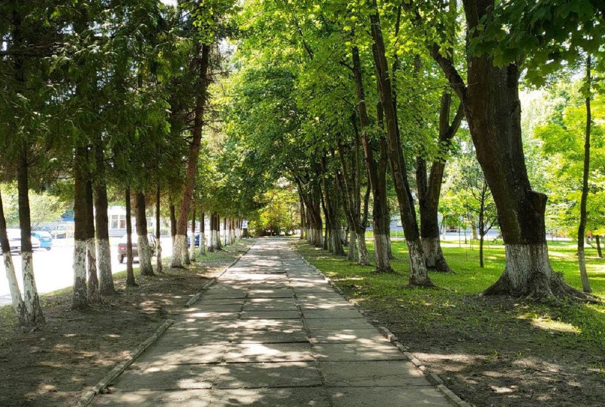 У львівському мікрорайоні Рясне облаштують великий сквер