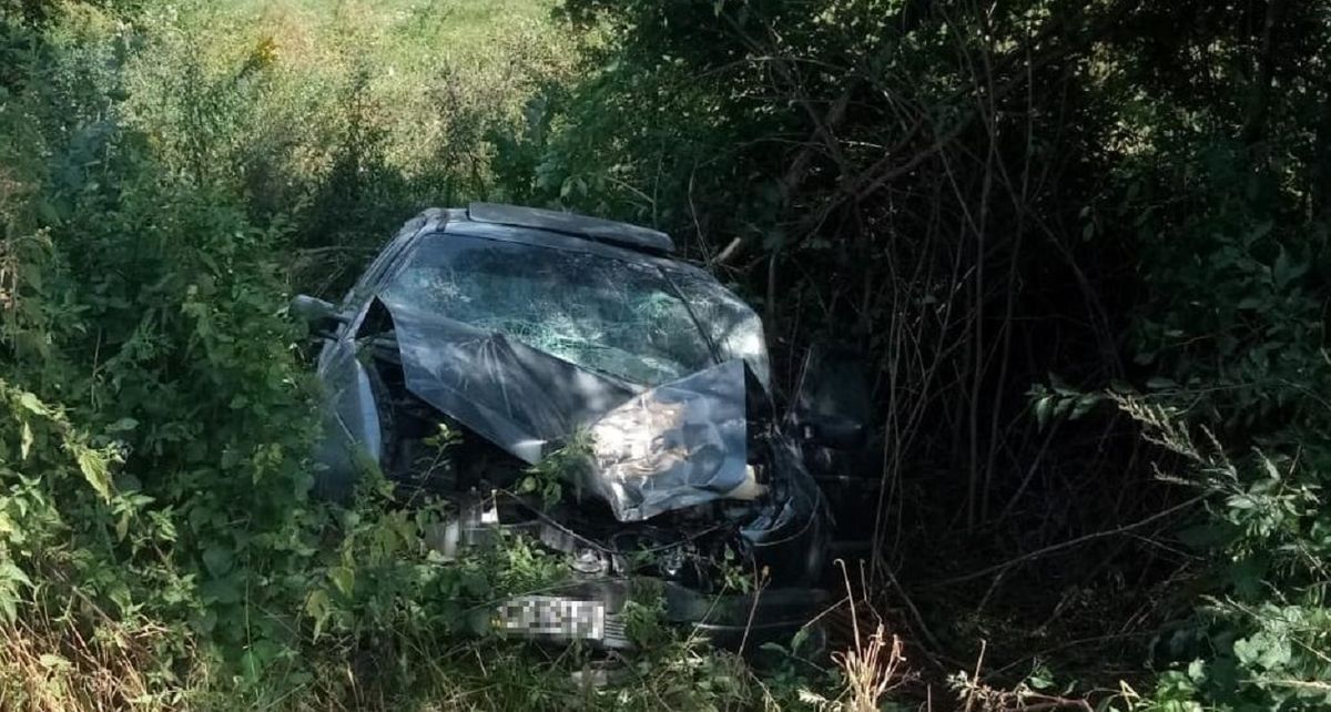 Біля Червонограда автомобіль злетів у кювет, постраждали шестеро людей
