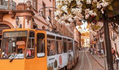 Головні новини Львова за 16 серпня