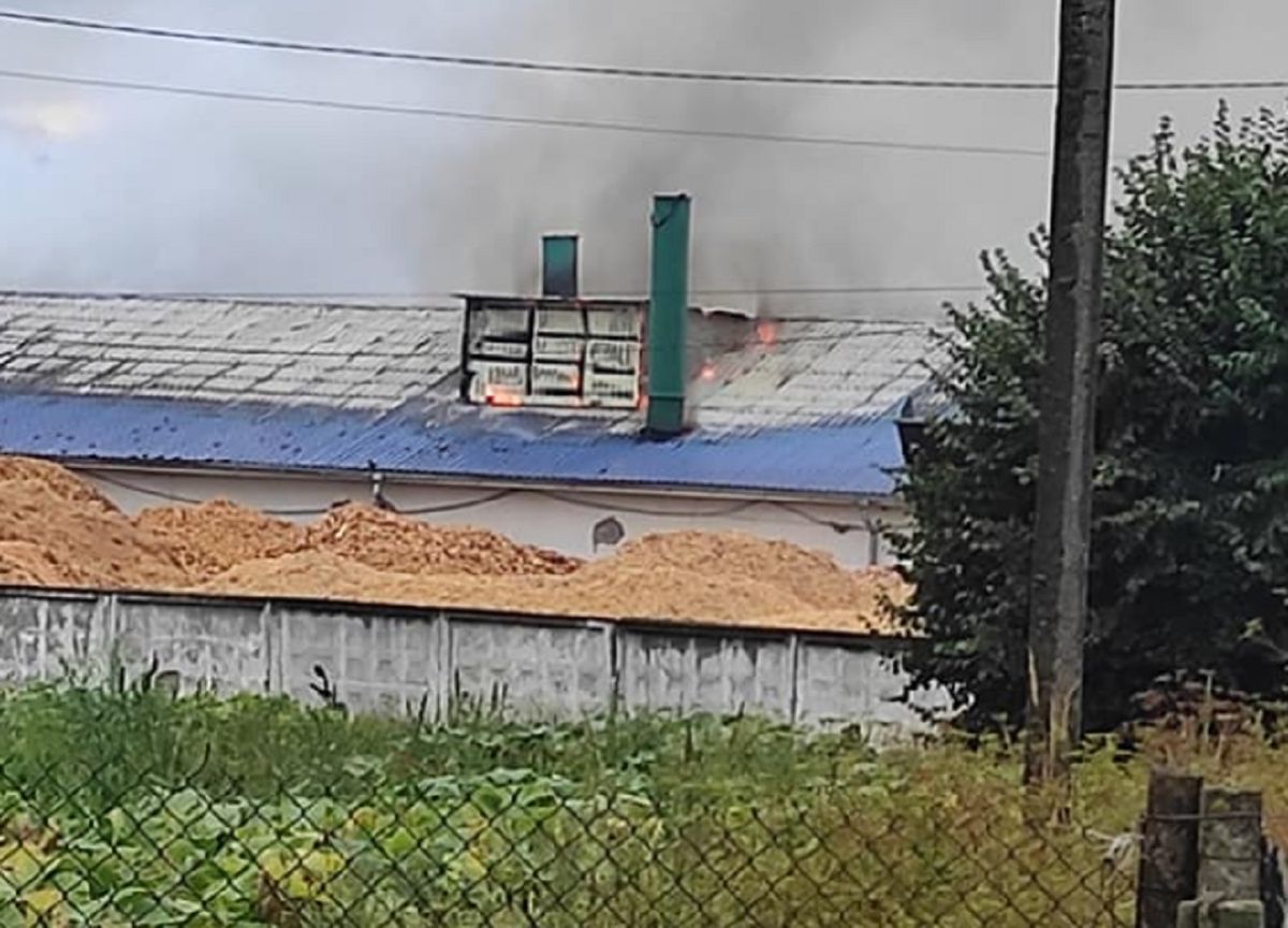 На пелетному заводі неподалік Луцька виникла масштабна пожежа