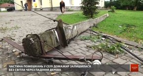 У «Львівобленерго» назвали найпоширенішу причину знеструмлення під час негоди