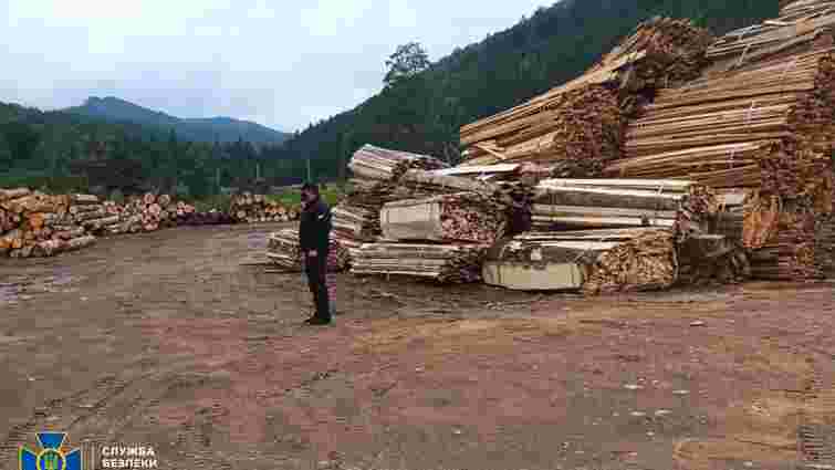 У заповіднику на Буковині виявили вирубку лісу на 3,3 млн грн