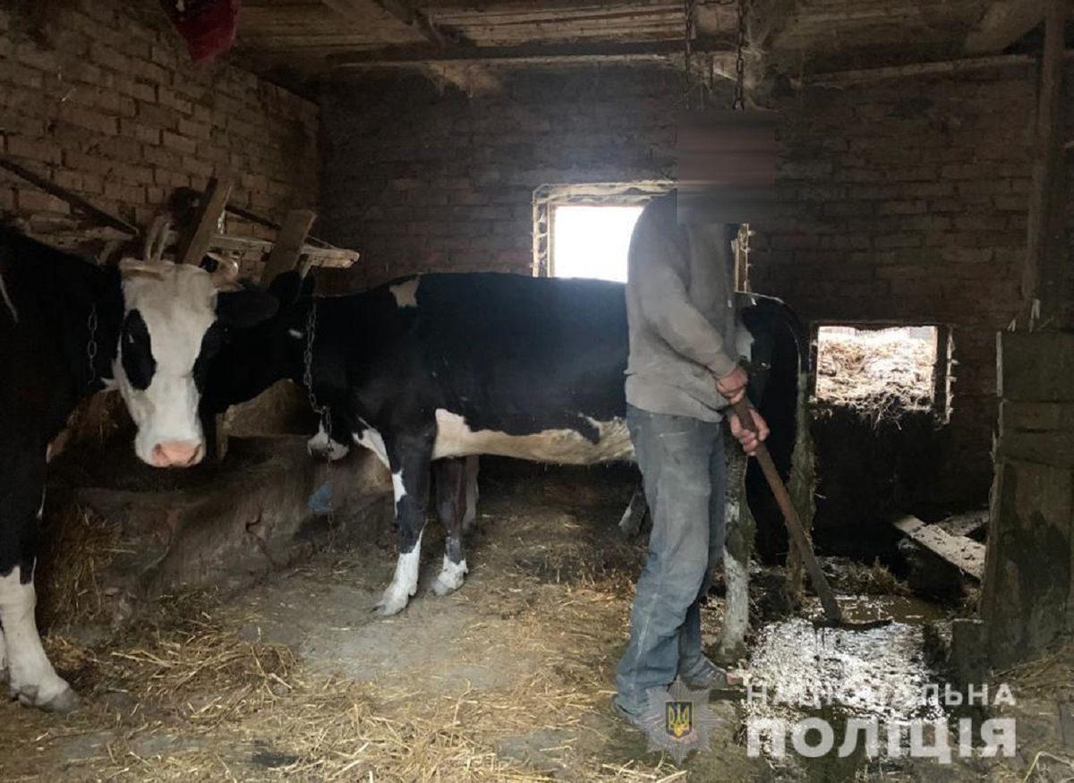 60-річна селянка утримувала у трудовому рабстві трьох чоловіків біля Луцька