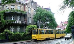 Головні новини Львова за 21 серпня