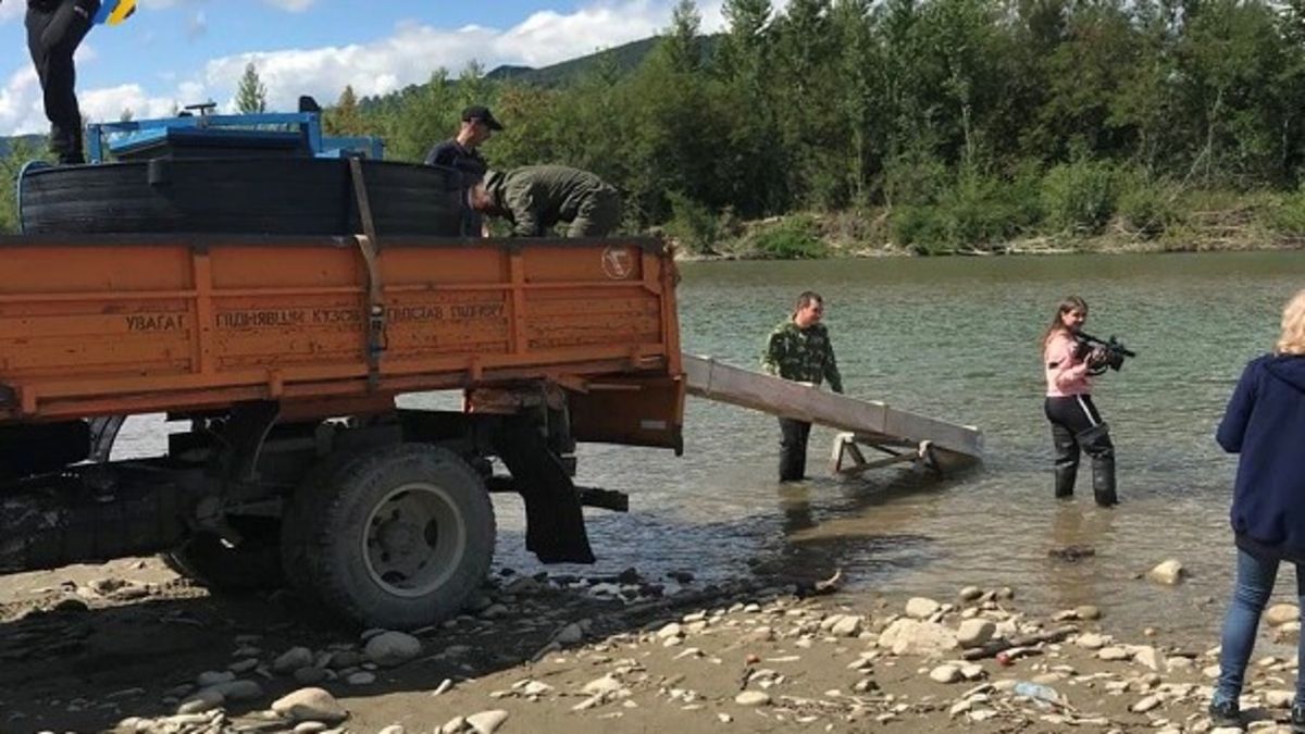 У Прут випустили близько 67 тис. мальків рідкісної форелі