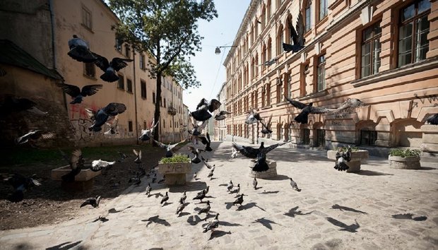 Головні новини Львова за 6 вересня
