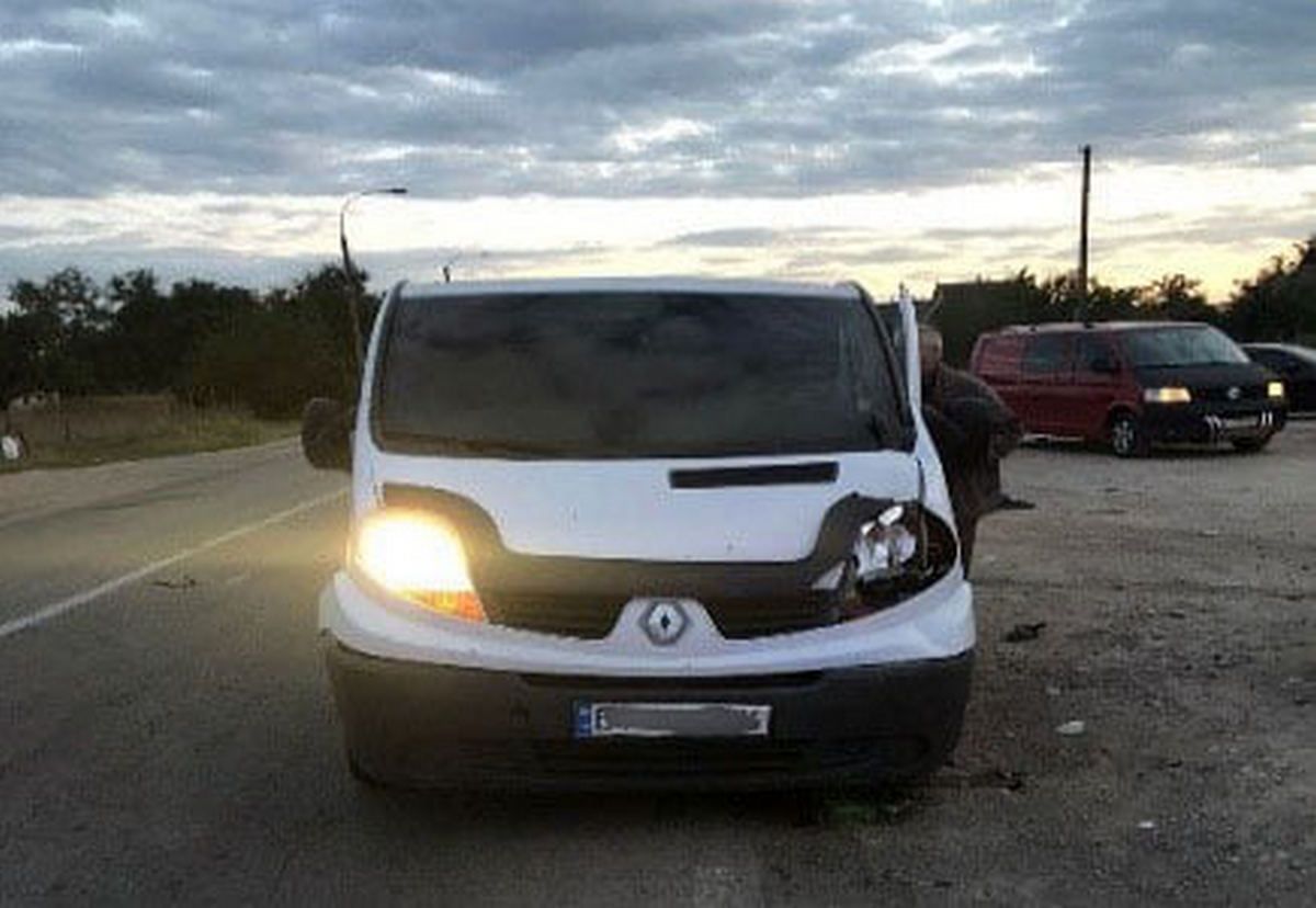 На Херсонщині мікроавтобус збив матір з 9-річною дочкою