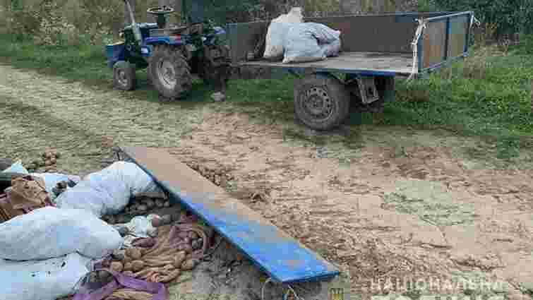 На полі у Тернопільській області «Волга» зіткнулася із трактором