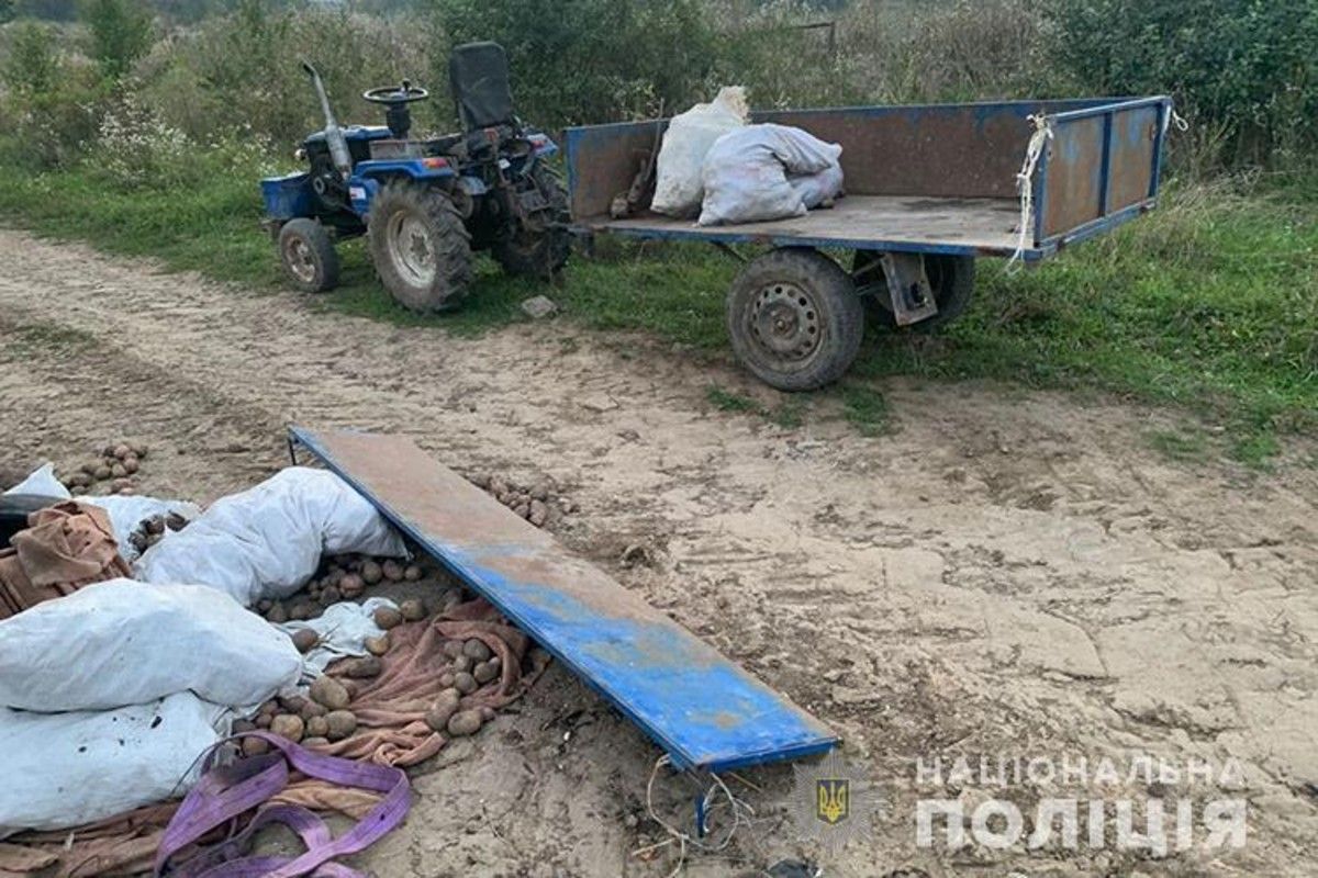 На полі у Тернопільській області «Волга» зіткнулася із трактором