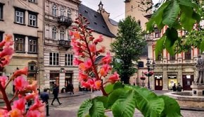 Головні новини Львова за 9 вересня