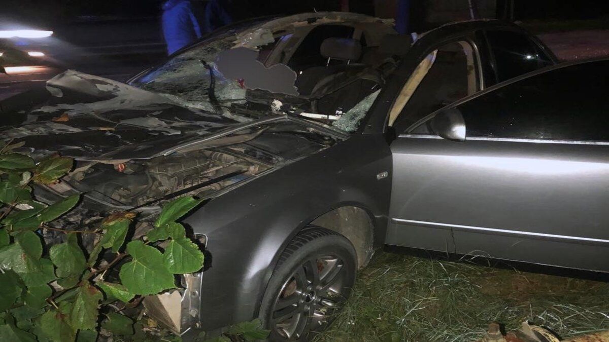 У нічній ДТП із конем біля Сторожинця загинув 21-річний чоловік