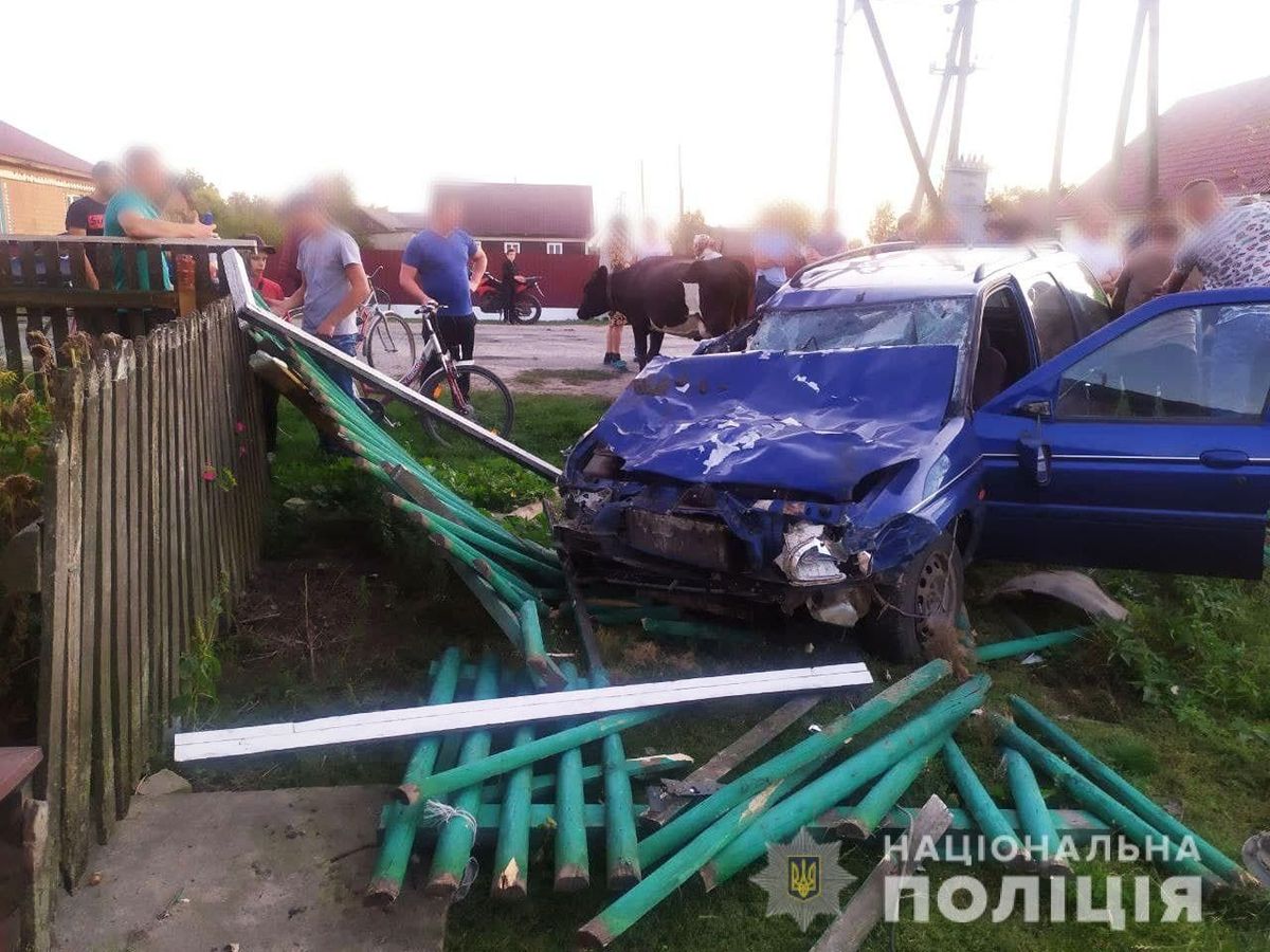 Нетверезий 46-річний водій в'їхав у стадо корів на Рівненщині