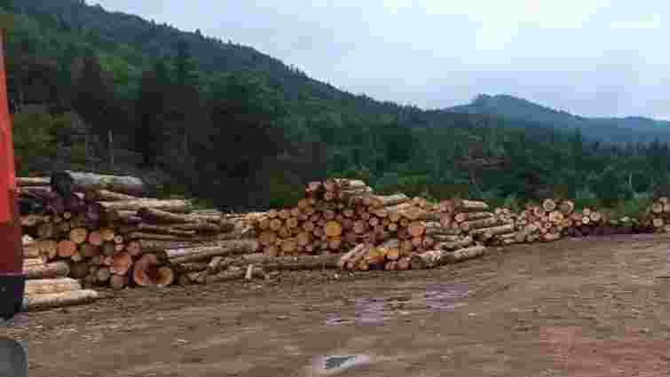 ДБР виявило на Буковині рубку заповідних лісів на 3,3 млн грн