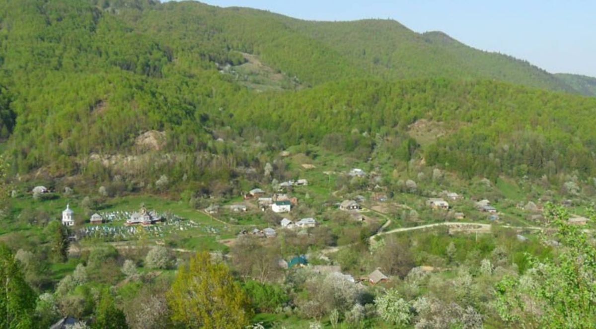 У приватному ставку поблизу Косова втопилася 3-річна дівчинка