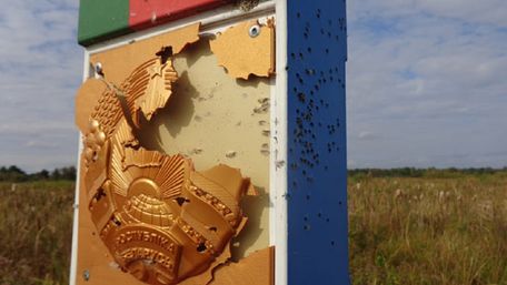 Білорусь заявила про обстріл з України її прикордонного знака