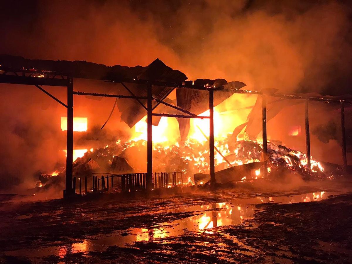 На Закарпатті в пожежі корівника і деревообробного цеху загинула людина