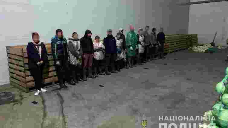 На Дніпропетровщині з трудового рабства на фермі звільнили 60 людей