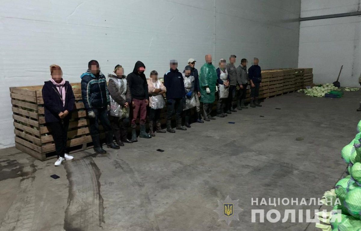 На Дніпропетровщині з трудового рабства на фермі звільнили 60 людей